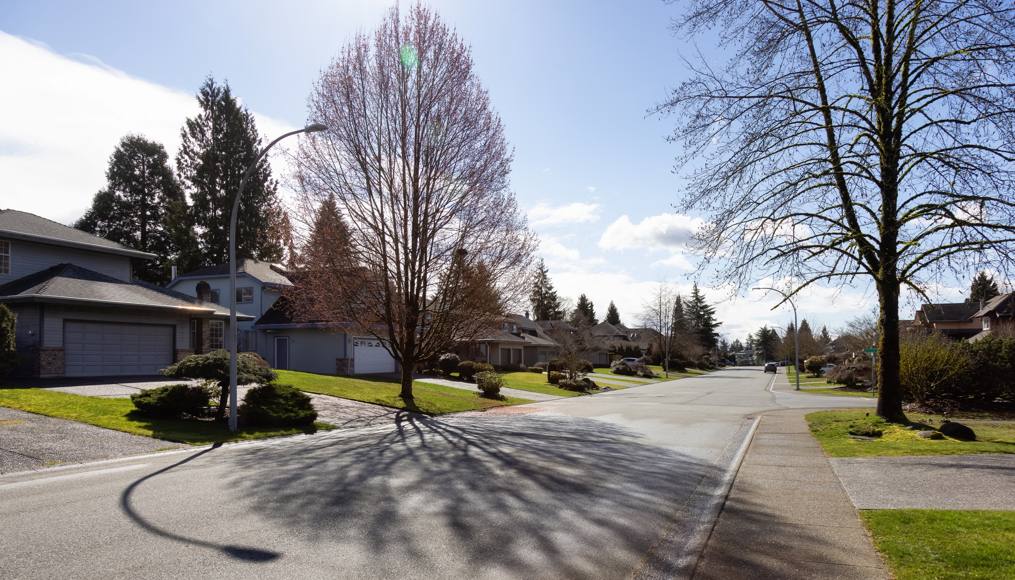 Residential neighborhood Street in Modern City Suburbs