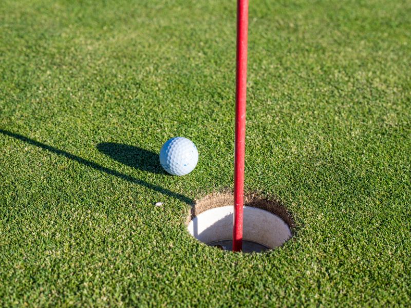 https://marcovcolelladmd.com/wp-content/uploads/2025/10/Tanna-Farms-Golf-Batavia-IL.jpg